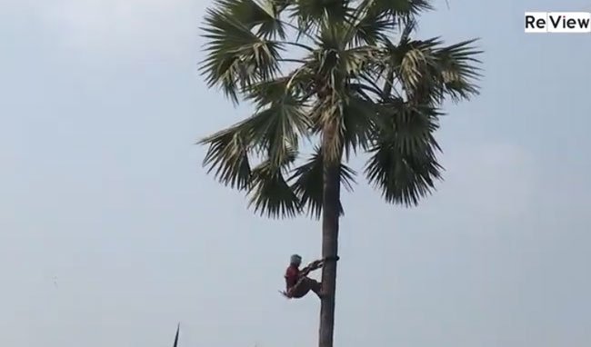 Foundation To Aid Industrial Recovery