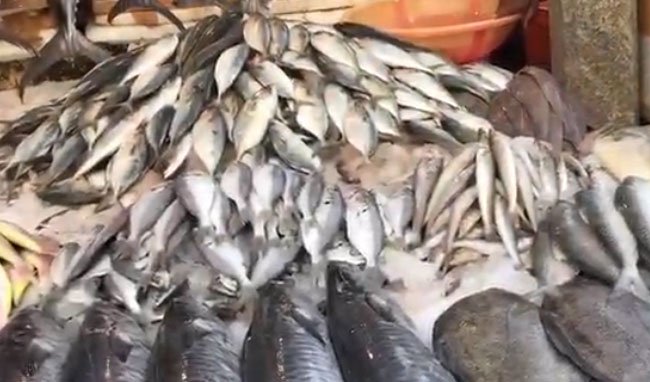 Foundation To Aid Industrial Recovery